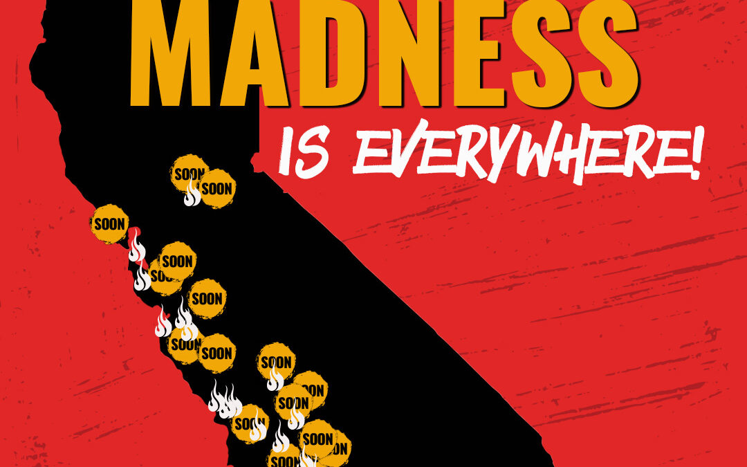 Teriyaki Madness Sets Its Sights on California for a Wave of Franchise Growth: It’s About To Get Saucy in the Golden State!